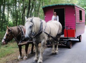 the dragonfly wagon pulled by Zorba and its paired friends Violette.